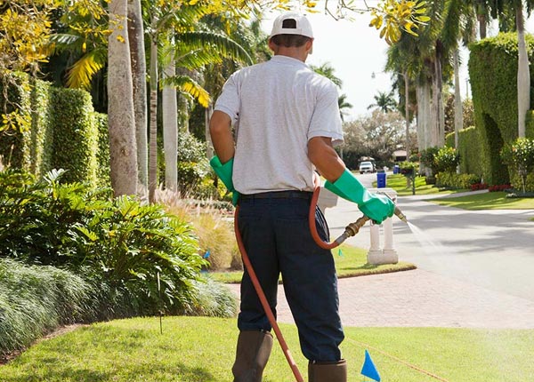About Sugar Run PA Pest Control